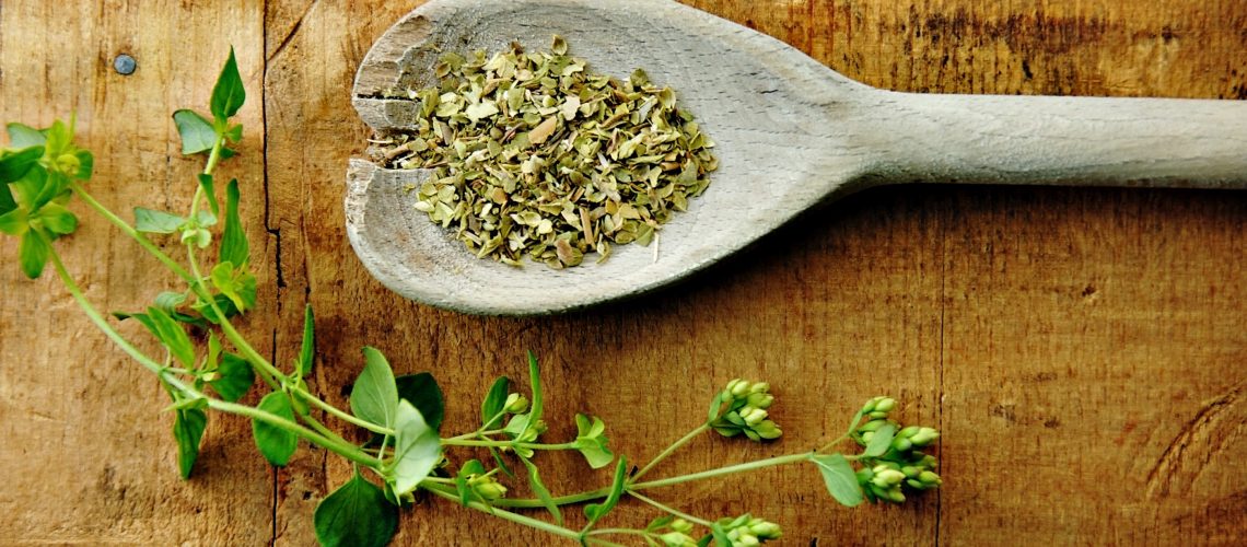 Oregano trong nhà bếp